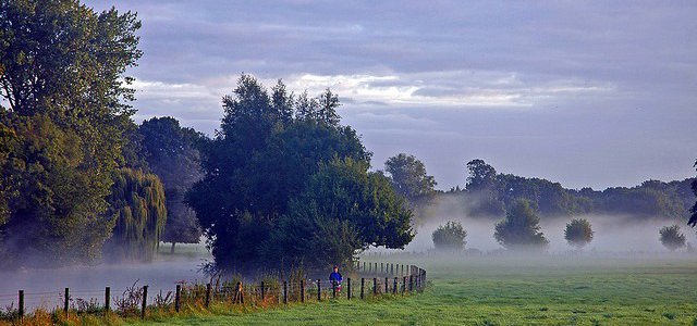 Alternatives to Embalming