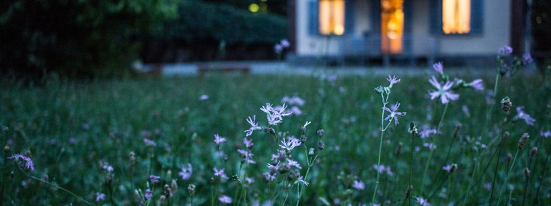 What You Need to Know About Home Funerals