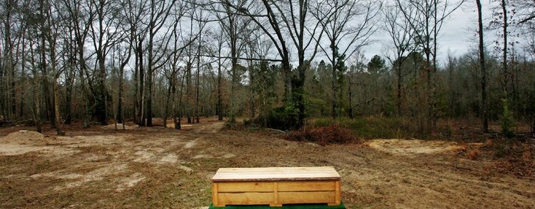 Thinking About Having a ‘Green’ Funeral? Here’s What to Know