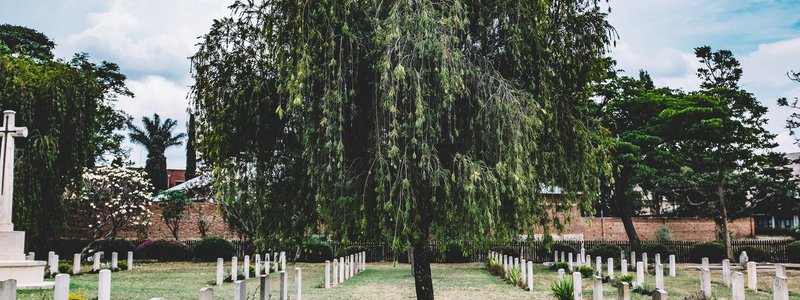 Is Cremation Considered Green?