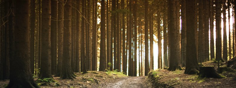 Scattering Ashes: What You Need to Know