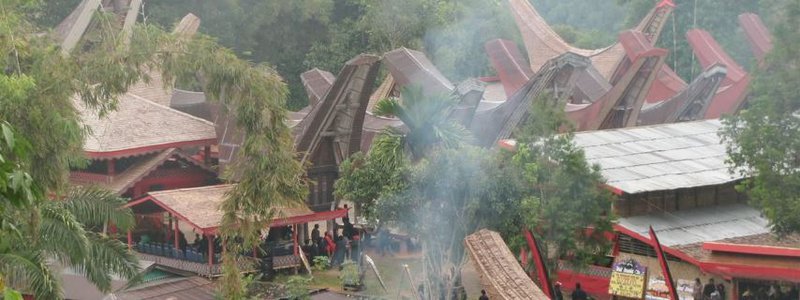 VIDEO: Life that doesn't end with death by Kelli Swazey