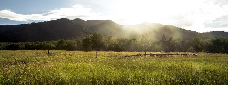 Green Funerals - With Death Comes Life